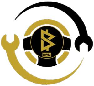 PILOT_CAR_BWM_LOGO_-removebg-preview