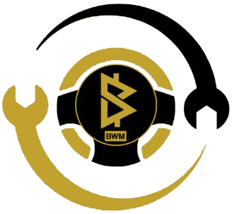 PILOT_CAR_BWM_LOGO_-removebg-preview